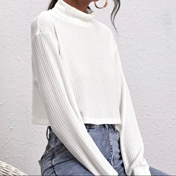 SHEIN long sleeved cropped turtleneck - Picture 1 of 2